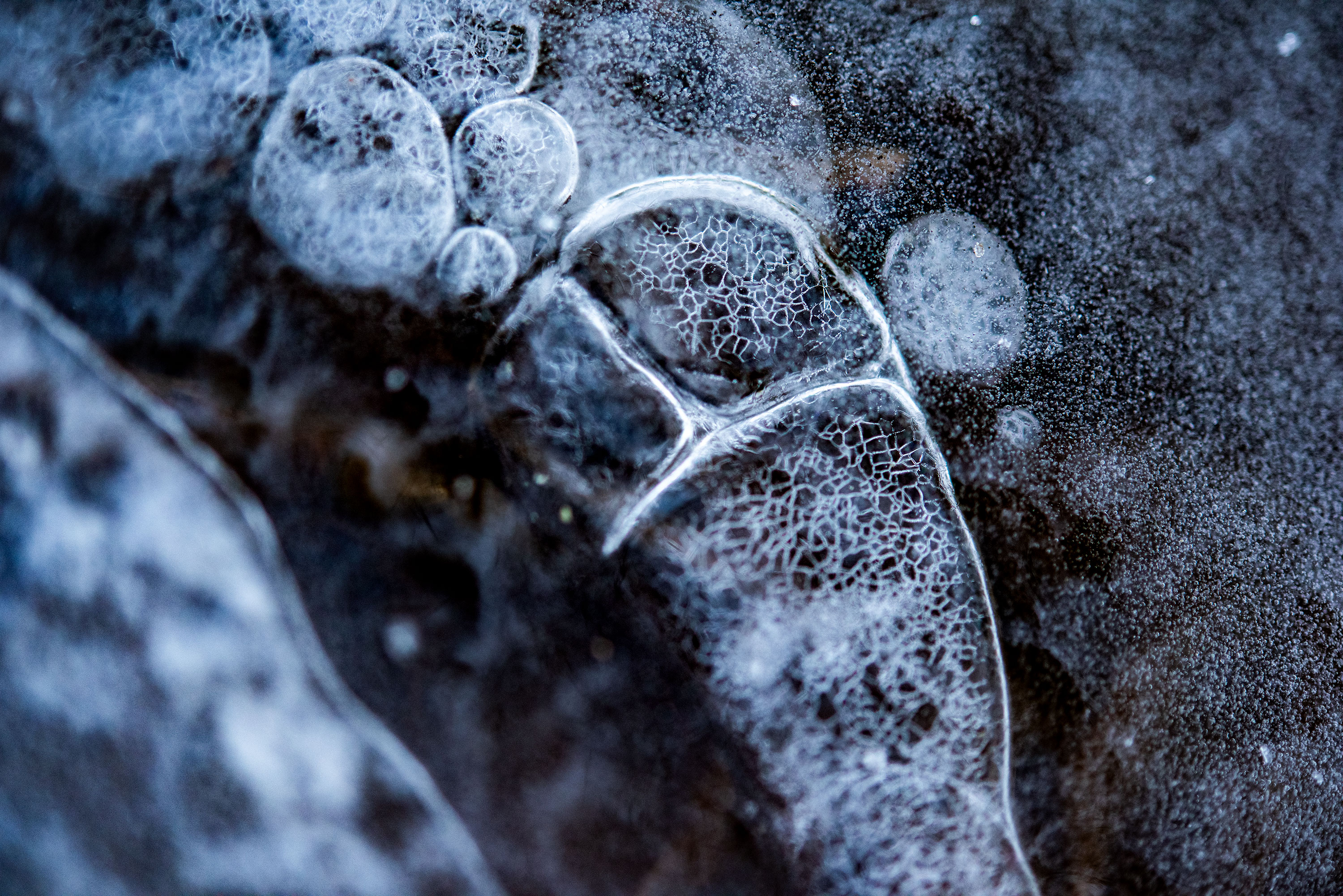 Macro and abstract photography of a frozen pond, located in Lausanne, Switzerland. Image by Jennifer Esseiva.