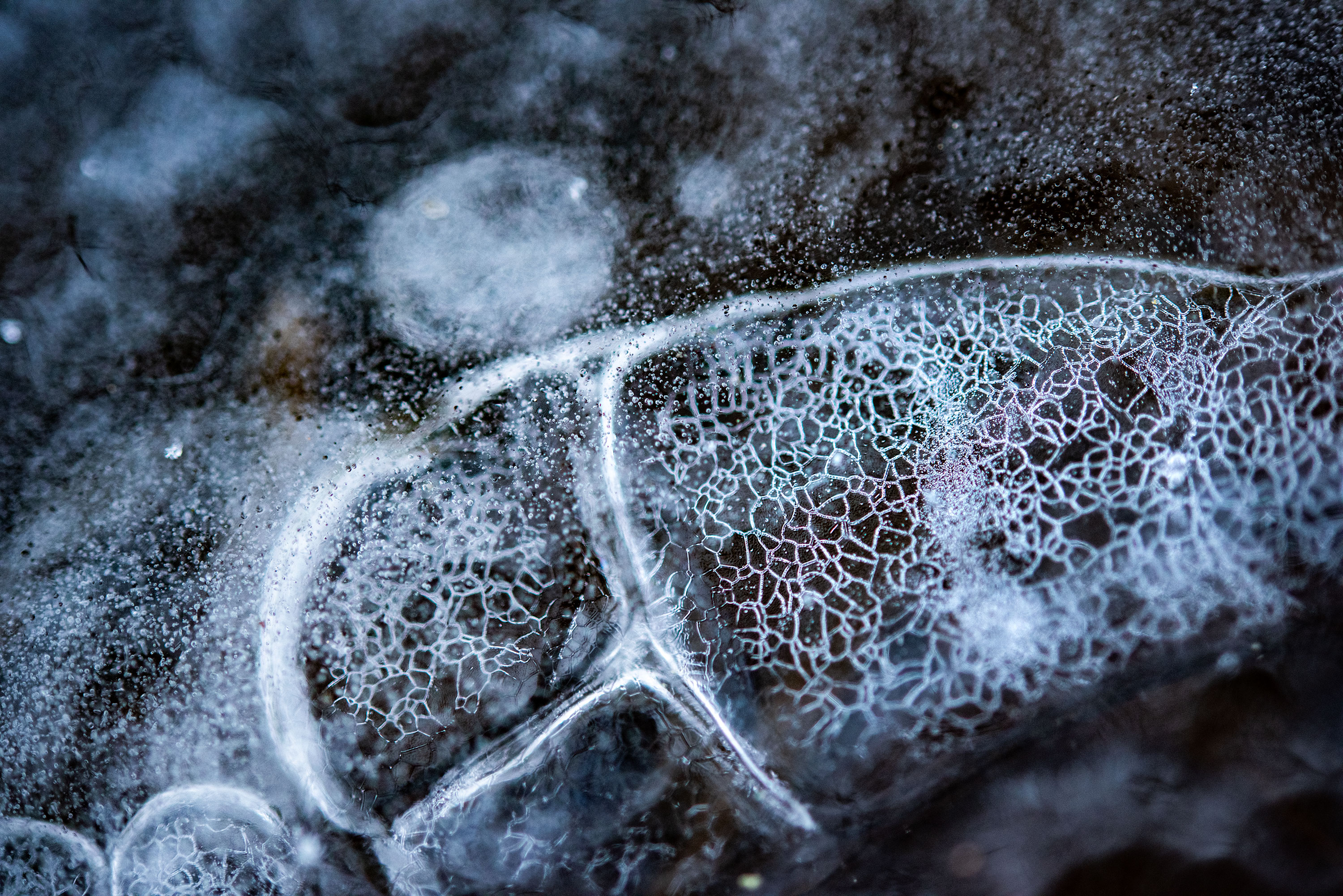 Abstract and close up photography of a frozen pond, located in Lausanne, Switzerland.