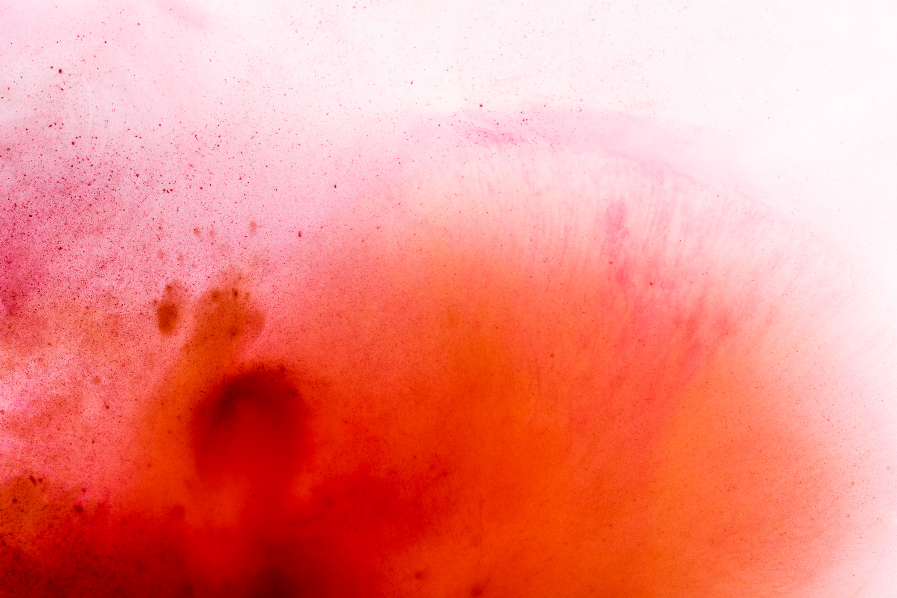 Minimal art photography made of orange and red watercolour. Image by Jennifer Esseiva.