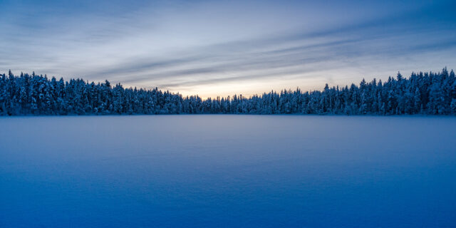 Snow-covered Lapland forest at sunset, photograph by Jennifer Esseiva.