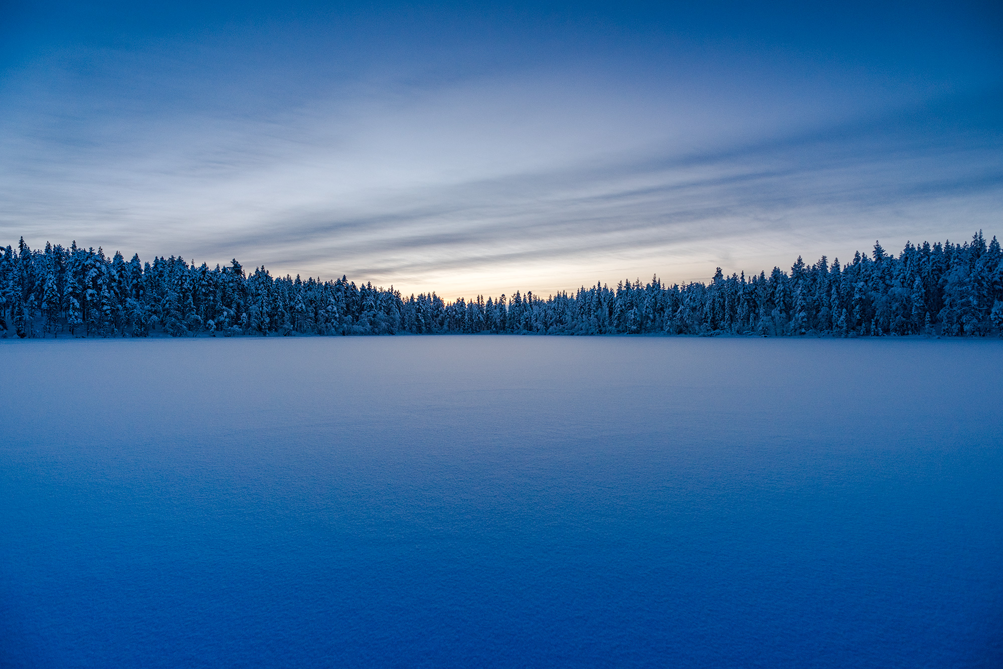 Lapland forest in winter at sunset, taken by landscape photographer Jennifer Esseiva.