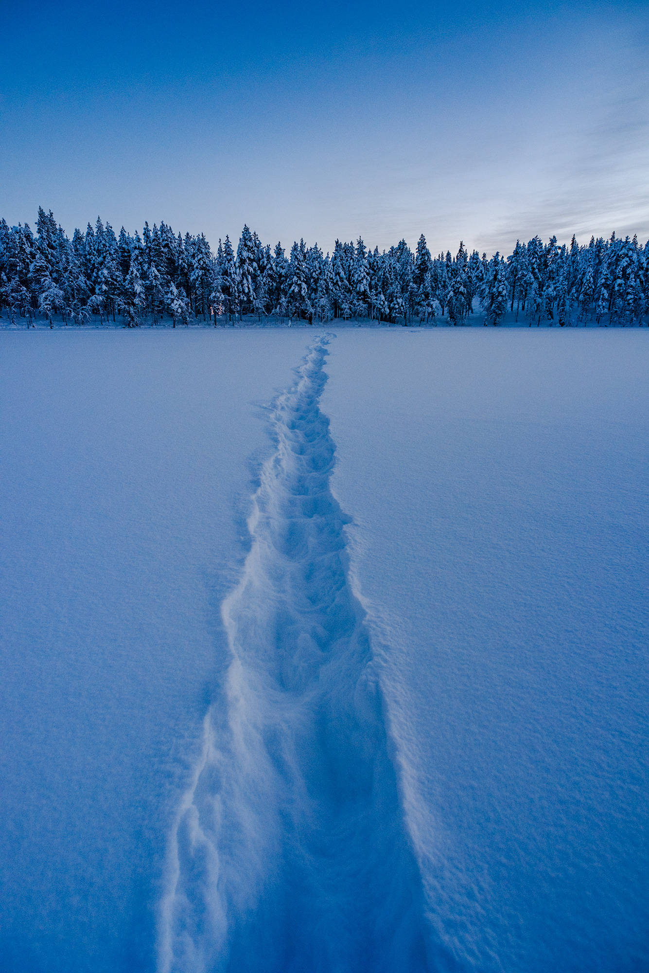 Lapland forest in winter at sunset, taken by landscape photographer Jennifer Esseiva.