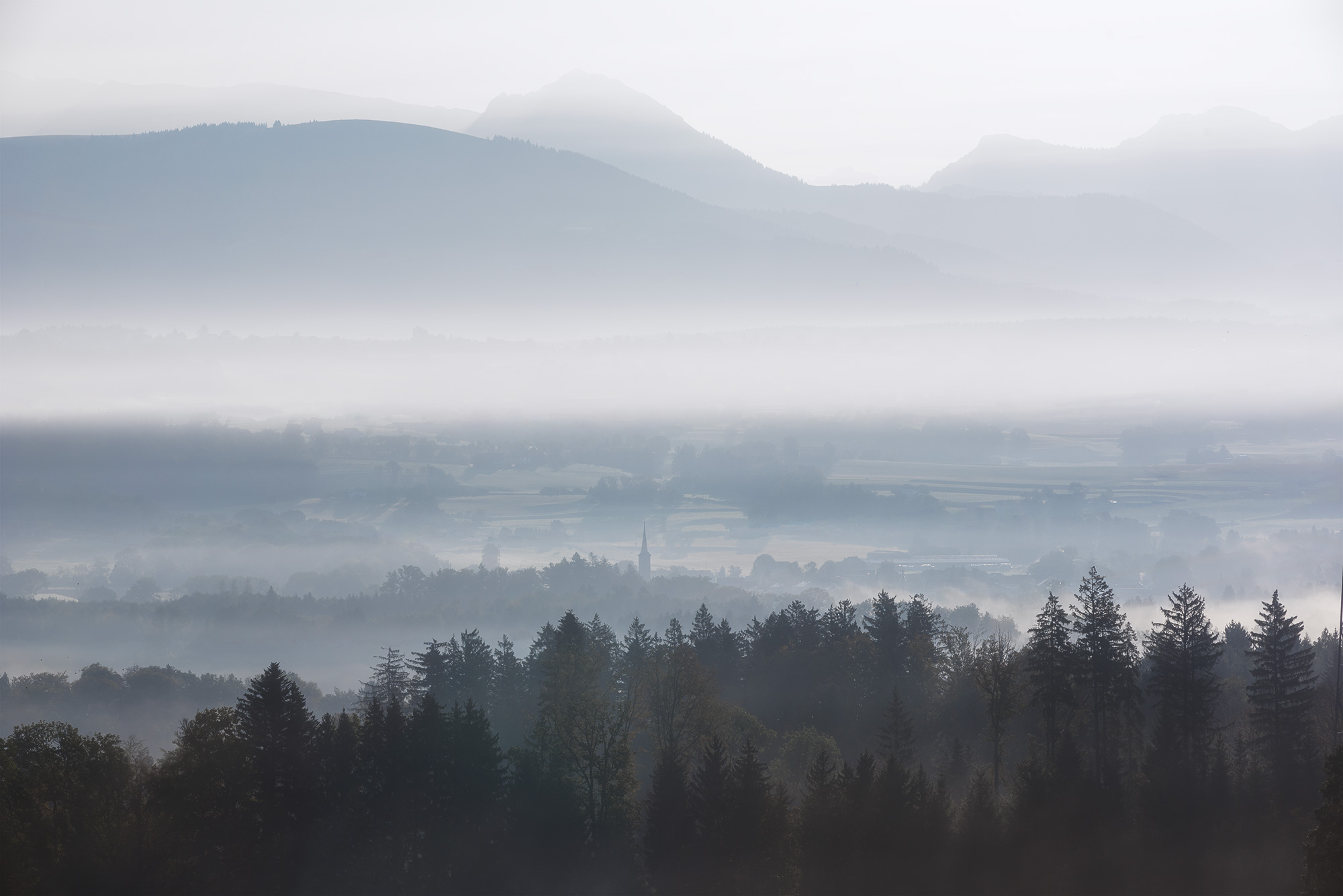 The Vaud countryside in the morning mist.