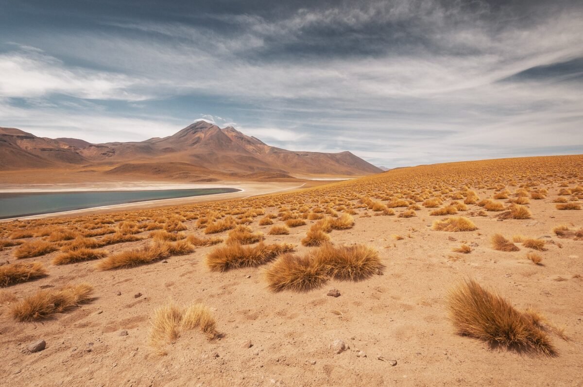 Laguna Miscanti in the Atacama Desert near San Pedro de Atacama, Chile, with mountains and high-altitude landscape.
