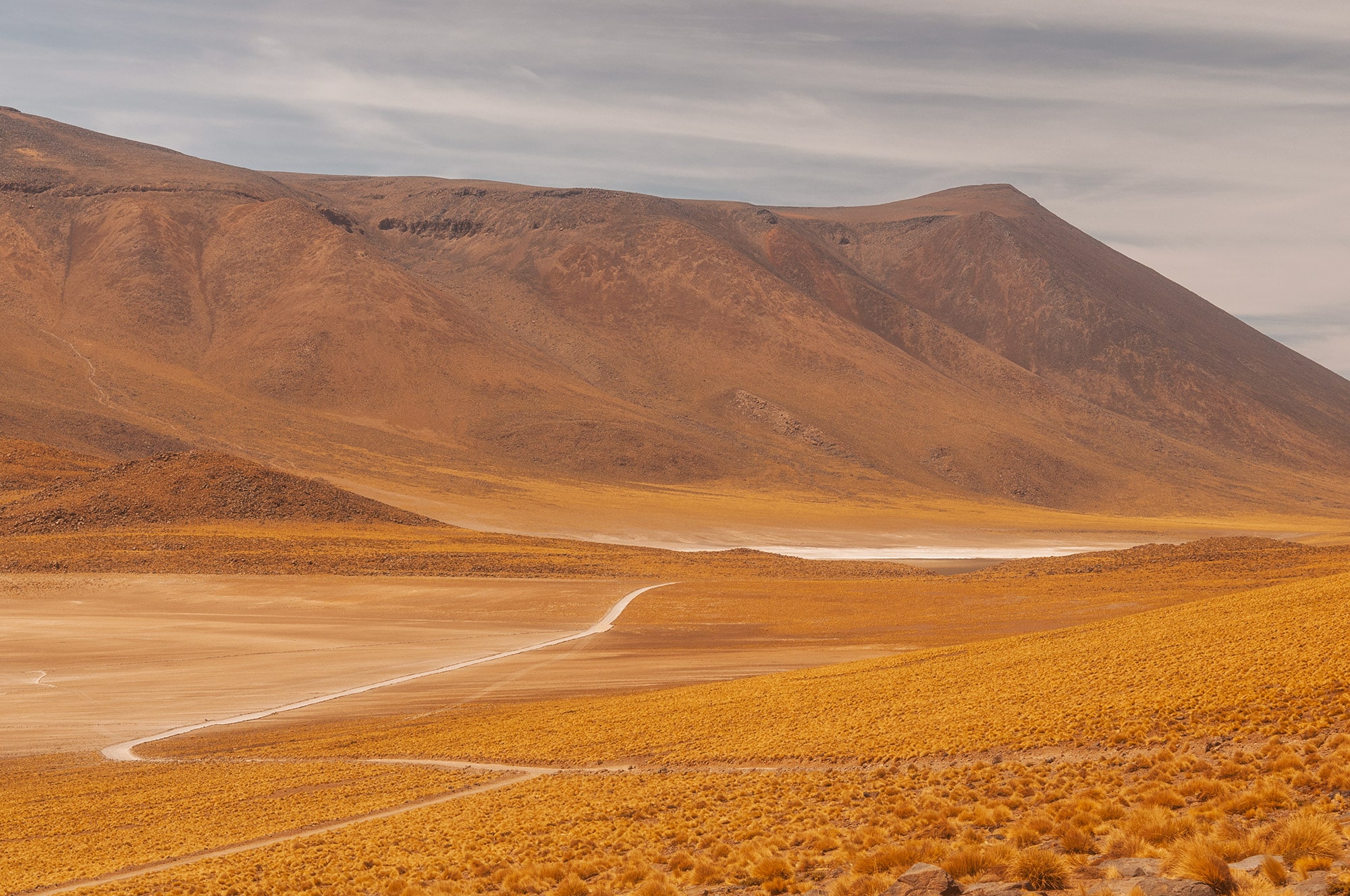 "Embark on a visual journey through the vast beauty of the Atacama Desert in Chile with this captivating photograph by renowned Swiss artist Jennifer Esseiva. This stunning image, captured with precision using her Nikon D300, portrays the scenic allure of a winding road in the Atacama near San Pedro de Atacama. Esseiva's skillful composition and keen eye for detail highlight the unique blend of arid landscapes and rugged beauty that define the Atacama. Immerse yourself in the captivating essence of this desert oasis through Esseiva's lens, and witness the allure of the open road in one of the world's most remarkable landscapes.
