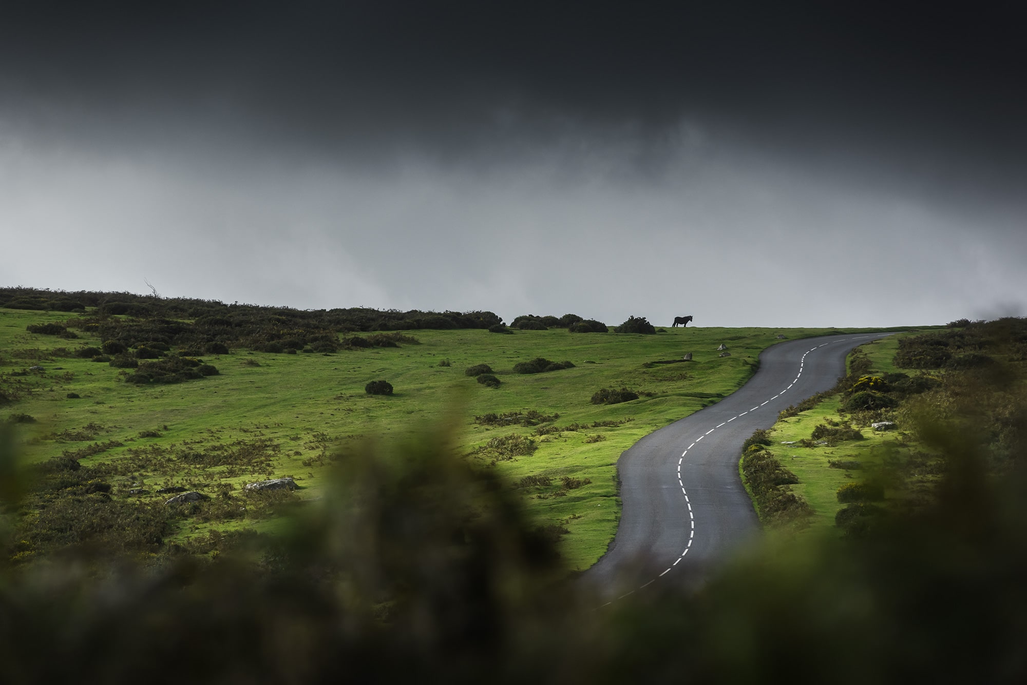 Immerse yourself in the rugged beauty of Dartmoor National Park in Devon, Southern England, with this epic landscape photography captured by Swiss photographer Jennifer Esseiva and her Nikon D810. Behold the iconic Dartmoor pony, grazing near the road amidst the breathtaking scenery of the moors. Against a backdrop of dramatic skies, Esseiva skillfully captures the timeless charm and wild allure of this unique landscape. Join Esseiva on this visual journey through Dartmoor, where every frame tells a story of untamed beauty and the symbiotic relationship between nature and the indigenous ponies.
