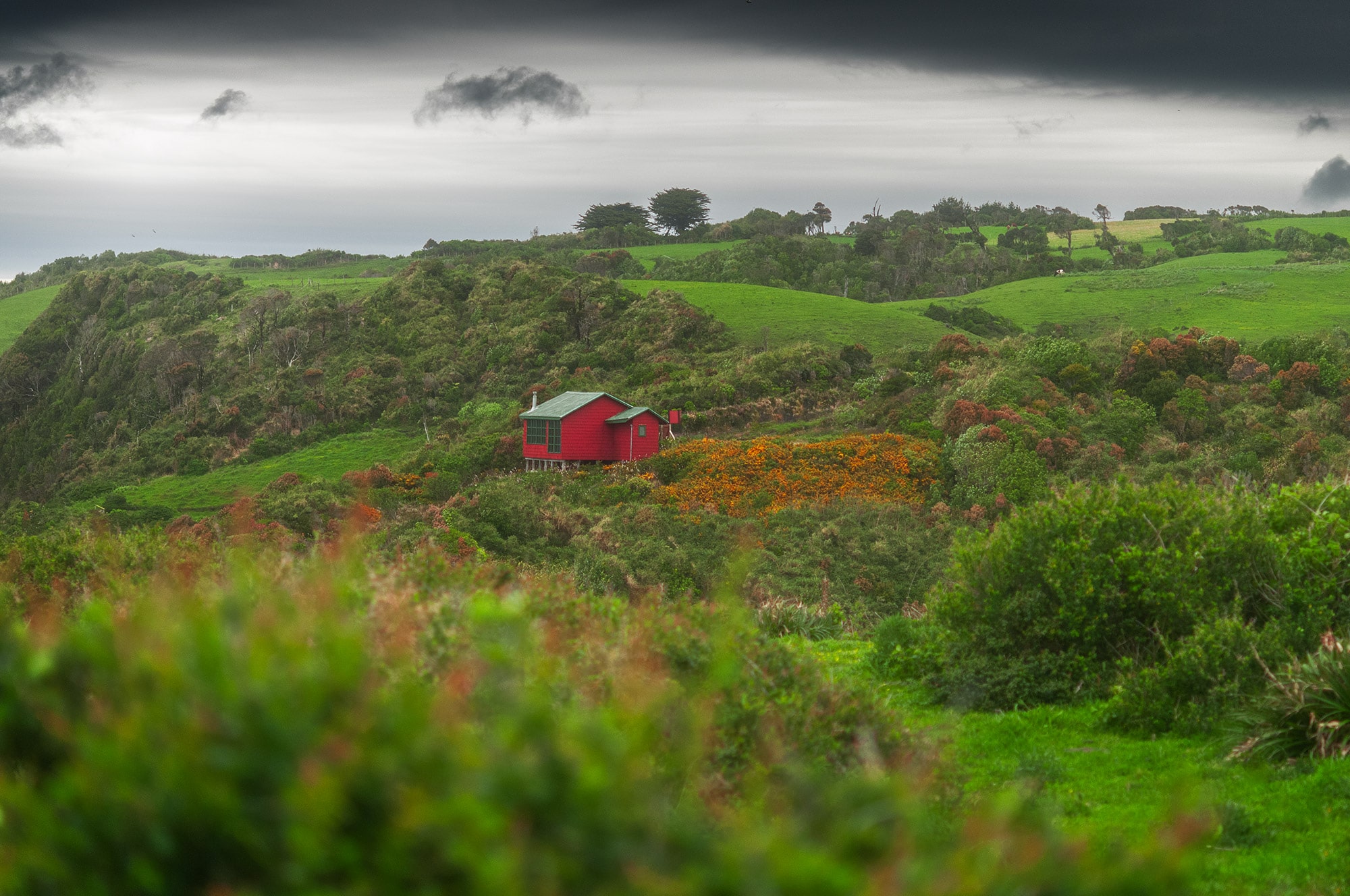Explore the picturesque beauty of Chiloé Island with this captivating landscape photograph taken by Swiss artist Jennifer Esseiva using her Nikon D300. A small red house stands in solitary splendor amidst the vibrant fields of Ancud, creating a striking focal point against the backdrop of this lush and green island. The dramatic sky adds a touch of cinematic allure to the scene, enhancing the overall visual impact of this seascape masterpiece. Immerse yourself in the tranquility of this idyllic setting, expertly captured by Esseiva's lens, as she skillfully blends natural beauty with artistic finesse. Discover the charm of Chiloé, where the harmonious convergence of a small red house, fields, and dramatic skies paints a mesmerizing portrait of serenity and solitude.