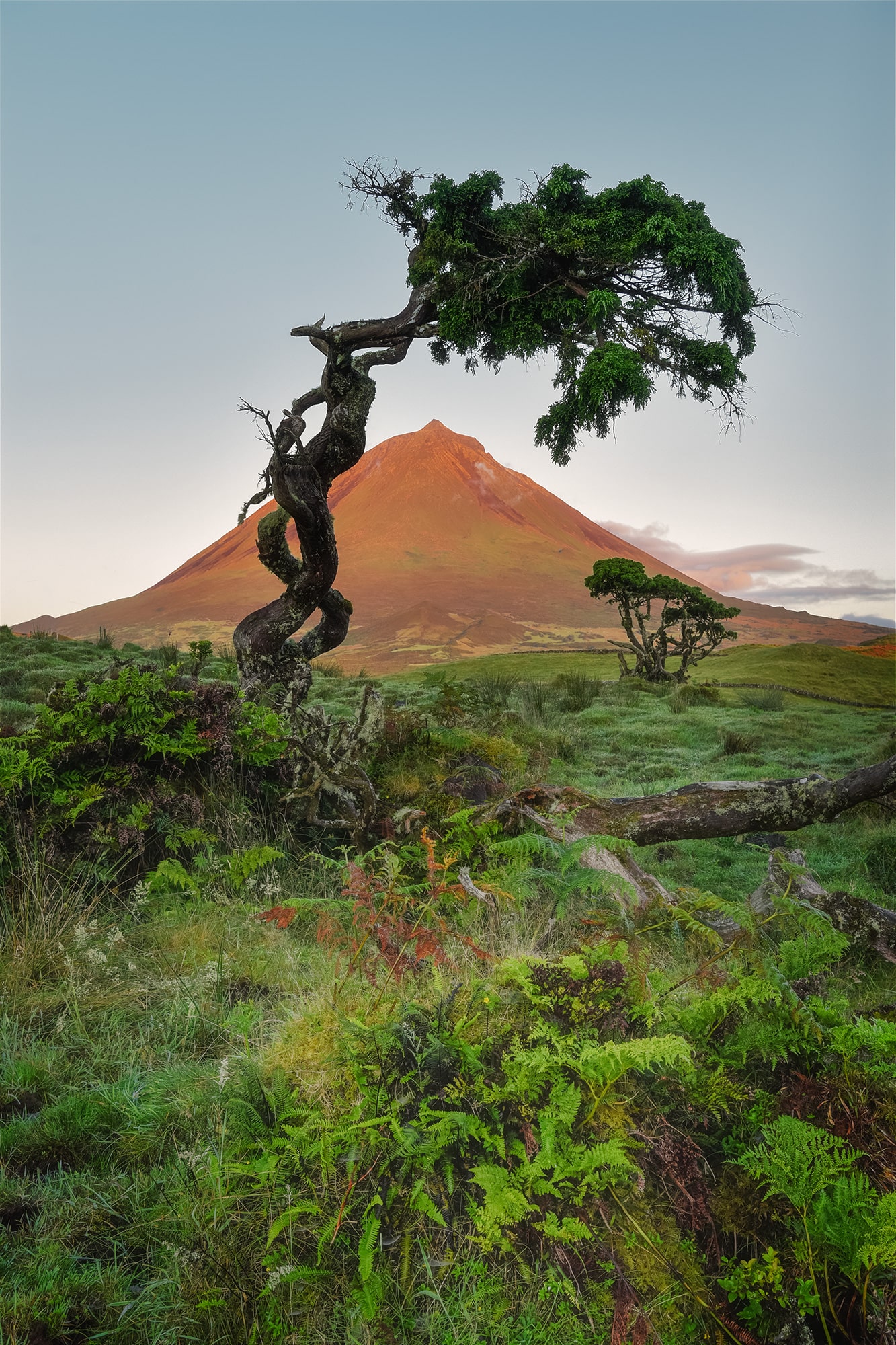 Landscape photograph depicting the sunrise over Mount Pico in the Azores, Portugal. The orange light illuminates the volcano, creating a stunning contrast against the dawn sky. Captured during a travel expedition, showcasing the natural beauty of Portugal's landscape.