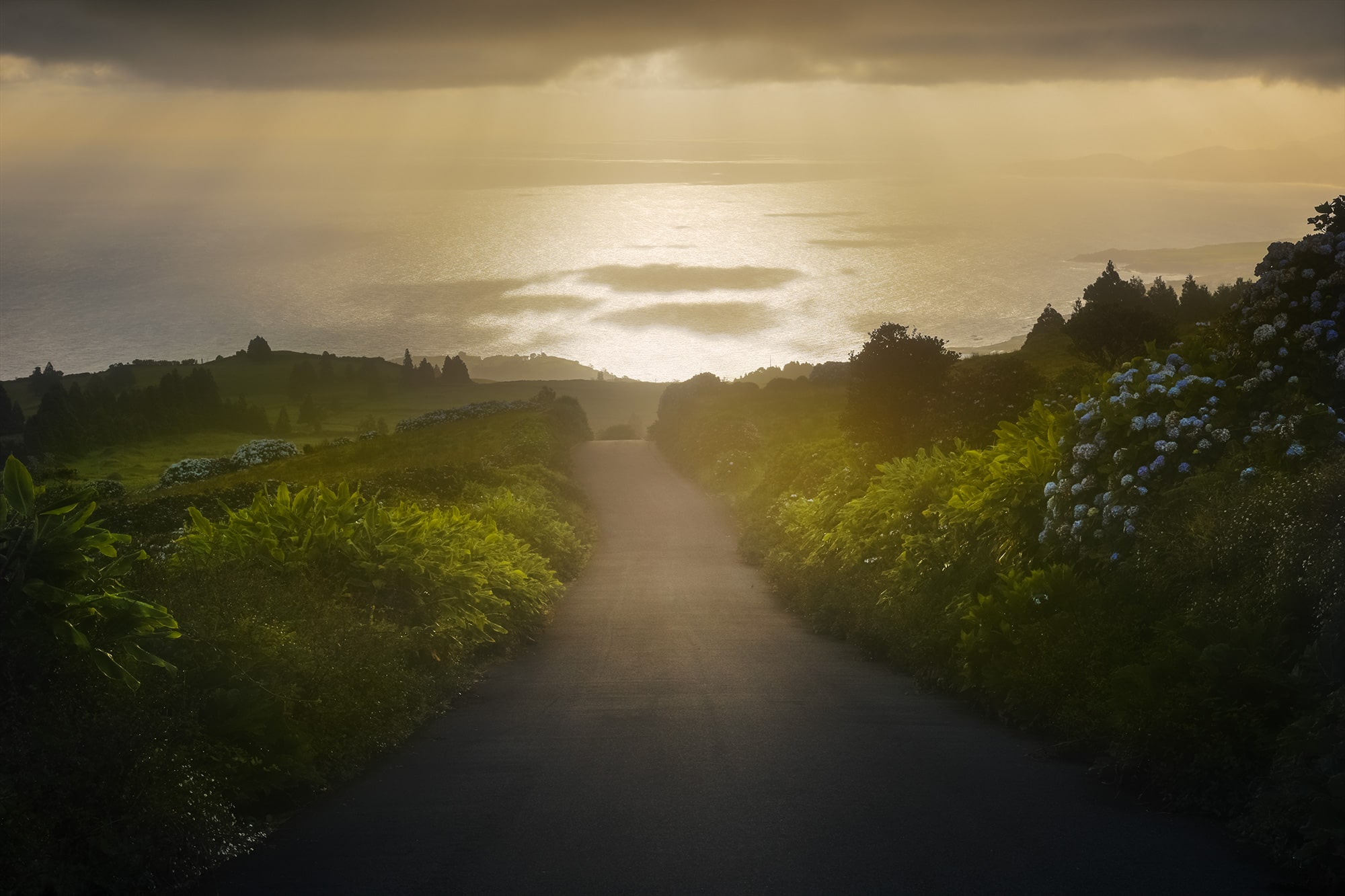 Witness the breathtaking beauty of an epic sunrise landscape captured by Jennifer Esseiva and her Nikon D810. Here, in São Miguel, the road gracefully leads towards the vast expanse of the sea, shrouded in the ethereal embrace of a foggy morning. As the sun emerges on the horizon, casting its golden glow over the landscape, the Azores unveil their enchanting allure. Join Esseiva on this visual odyssey through São Miguel's captivating vistas, where every frame is a testament to the island's timeless charm and natural splendor.