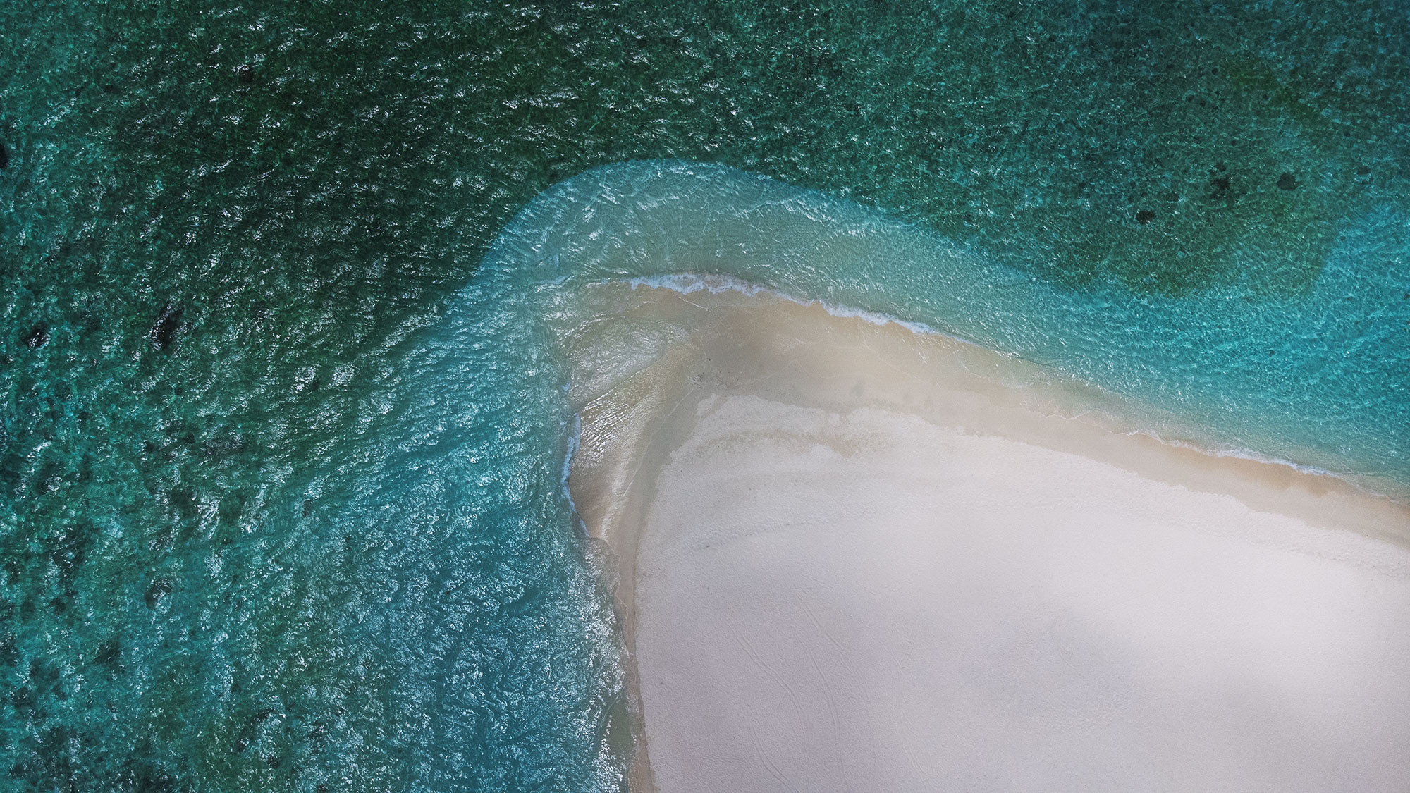 Aerial drone landscape photography showcasing the pristine beach and crystal-clear waters of Thudufushi Island in the Maldives. The turquoise sea meets the white sandy shore, creating a mesmerizing view of tropical paradise from above.