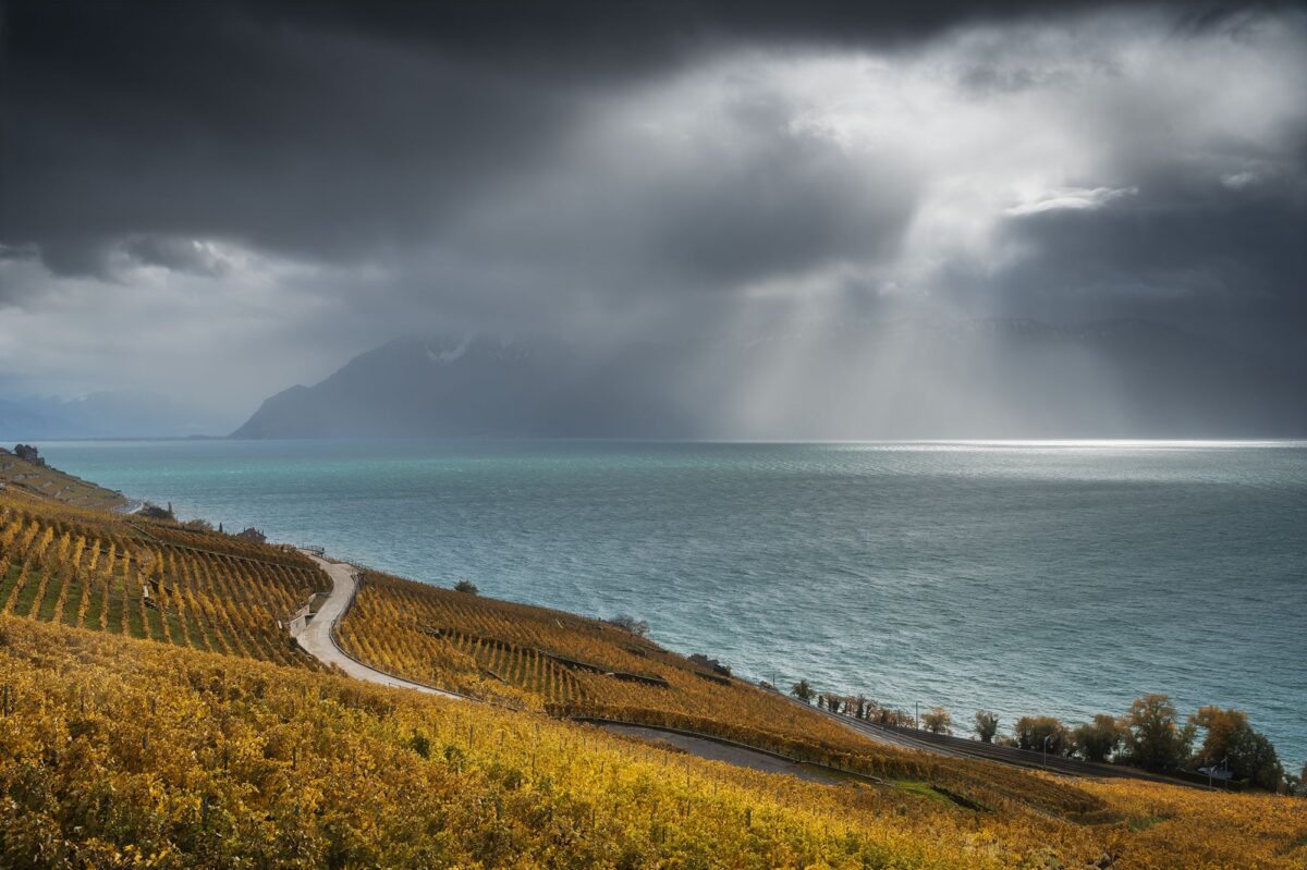 Autumn view over Lake Geneva and Lavaux vineyards, Switzerland, with dramatic sky and warm seasonal colors.