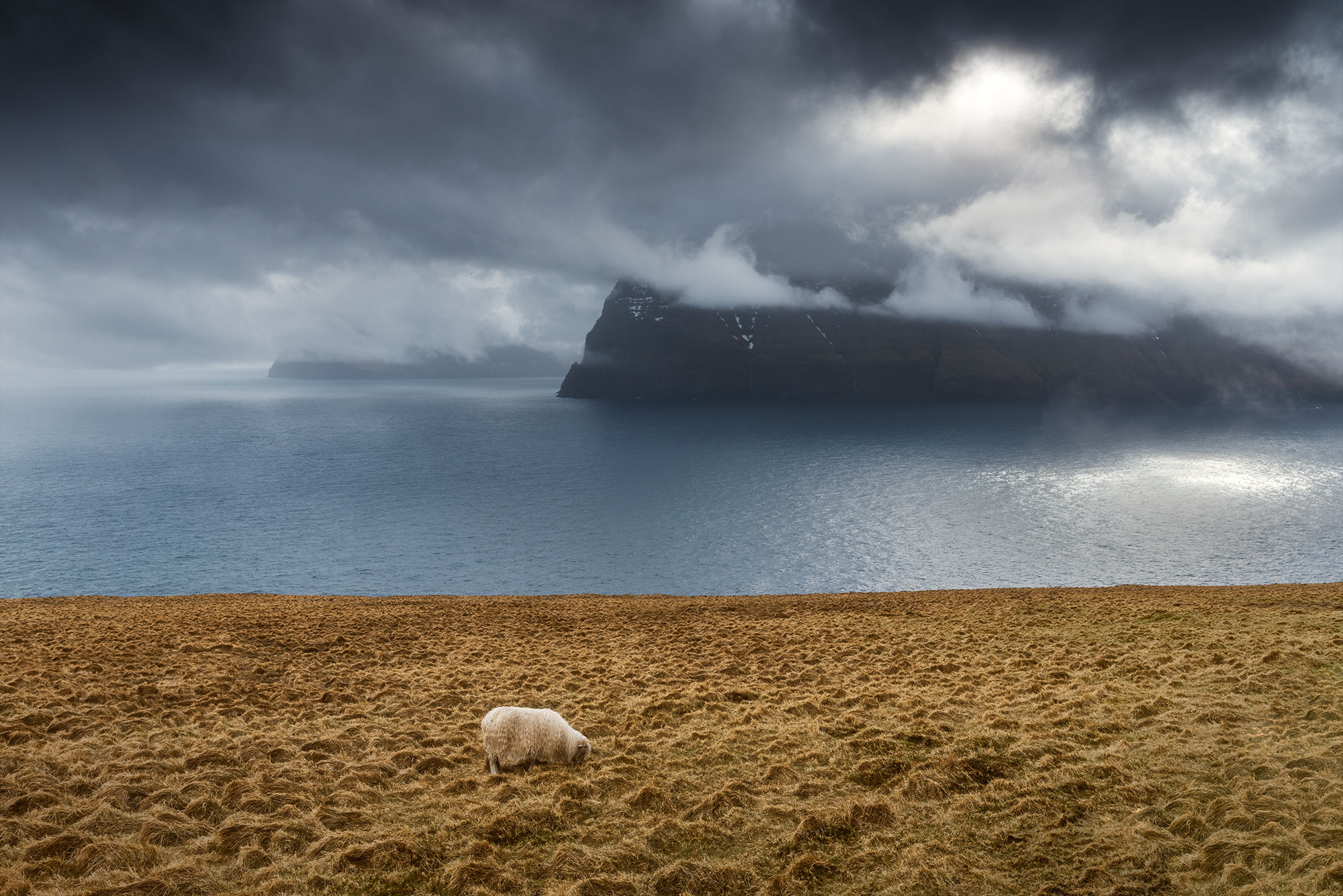 Journey into the captivating landscapes of the Faroe Islands with this stunning landscape photograph captured by Swiss artist Jennifer Esseiva and her Nikon D810. Behold the serene beauty of a lone sheep gazing towards the island of Kunoy under a dramatic sky, as a storm approaches. This striking image encapsulates the raw, untamed essence of Faroese scenery, inviting viewers to immerse themselves in its rugged charm. Experience the magic of nature's drama unfolding through Jennifer Esseiva's lens, where every frame tells a story of adventure and exploration. Discover the timeless allure of the Faroe Islands in this evocative landscape photograph.