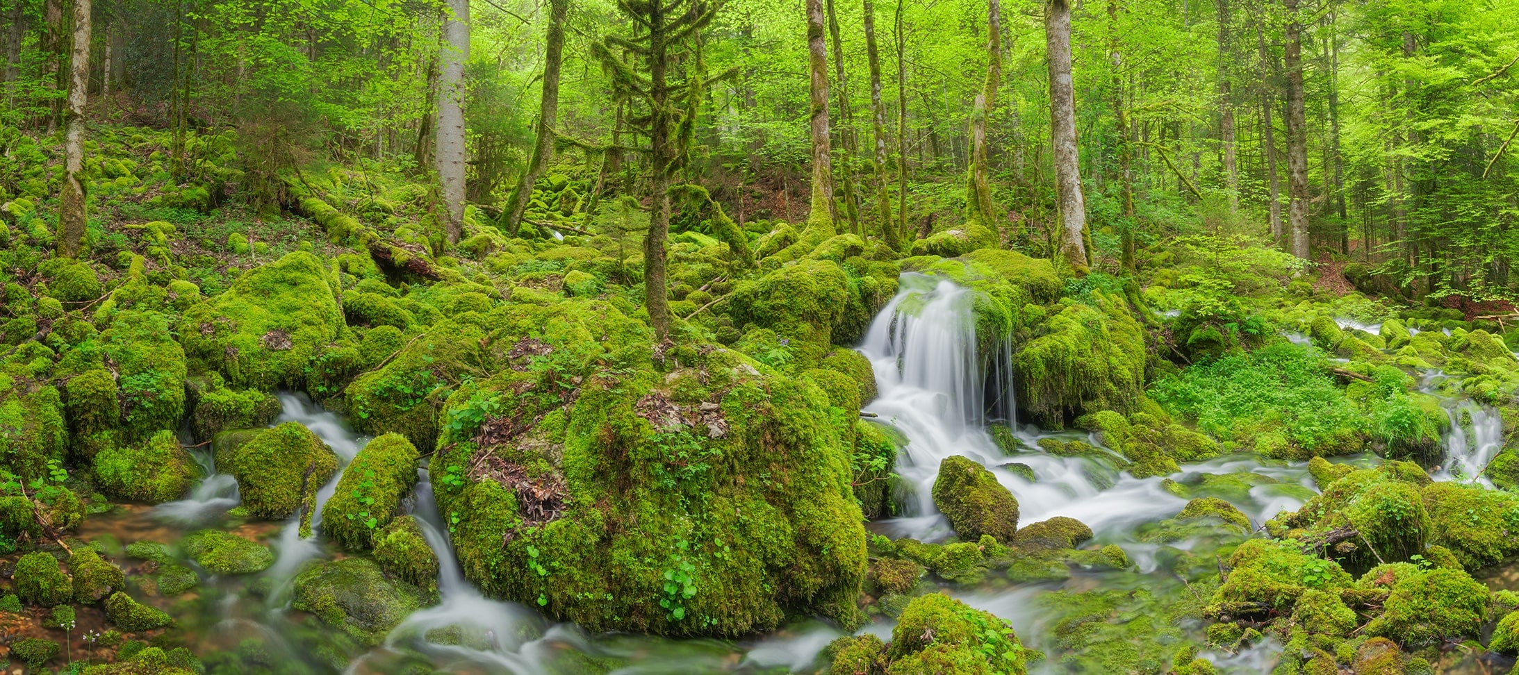 Explore the enchanting moss forests and mesmerizing waterfalls of Canton Vaud, Switzerland, through the lens of captivating long exposure photography. Immerse yourself in the tranquil beauty of nature as you witness the ethereal flow of water frozen in time. This stunning landscape photograph captures the serene atmosphere and lush greenery of the moss-covered forests, inviting viewers to embark on a visual journey through Switzerland's natural wonders. Experience the magic of long exposure photography in capturing the timeless allure of these captivating landscapes.