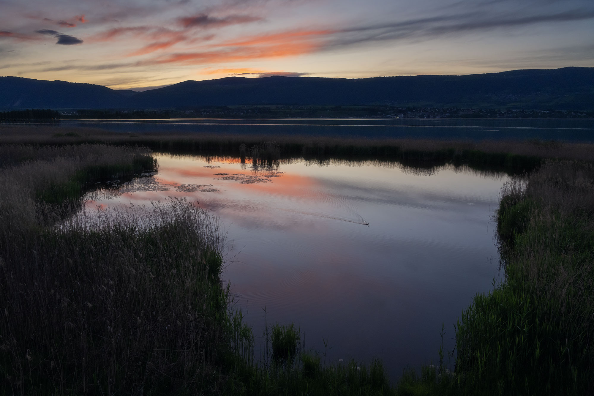 Landscape photography capturing a sunset at the Grande Cariçaie nature reserve in Lake Neuchâtel, Switzerland. Photo taken with the Nikon Z8.