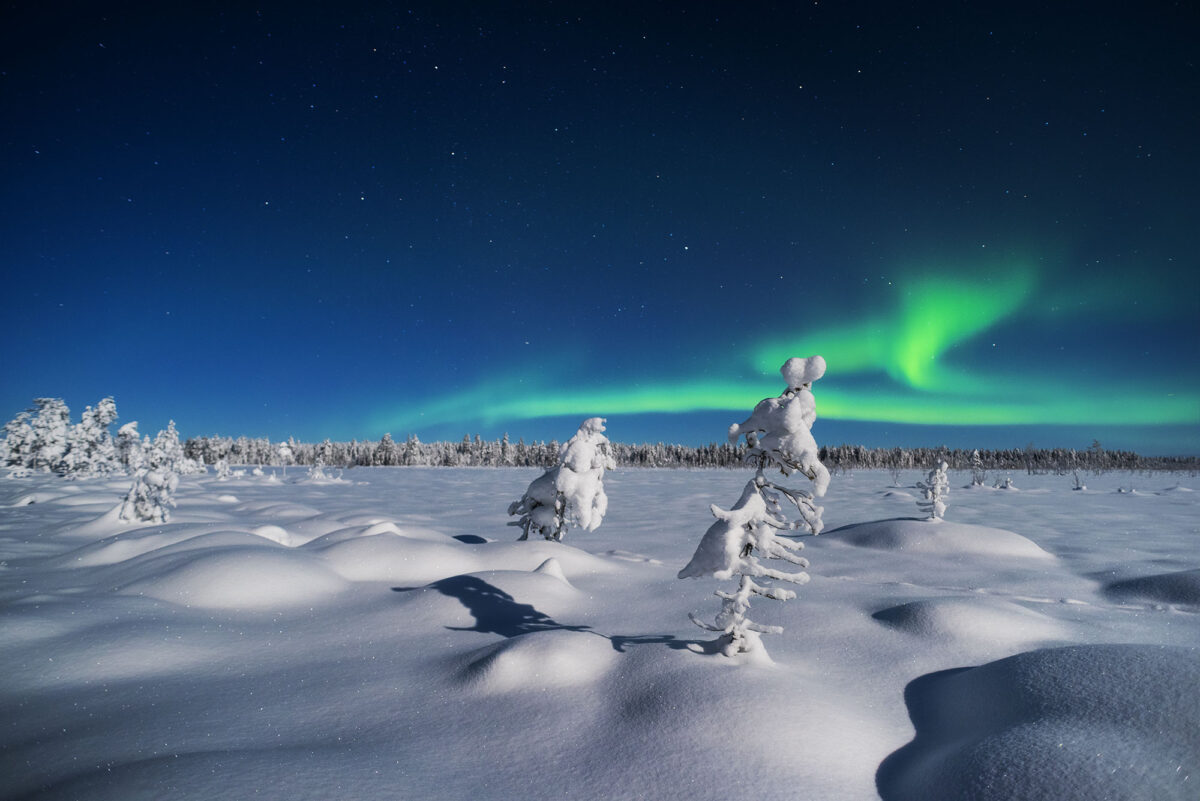 Northern lights over snow-covered forest in Kiruna, Lapland, Sweden, with green aurora and reindeer tracks in snow.