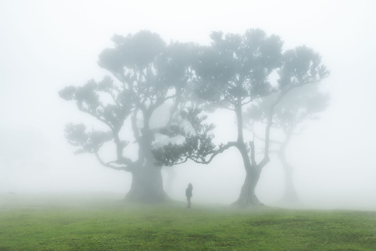 Self-portrait in Fanal Forest, Madeira, beneath ancient trees in misty and moody atmosphere.