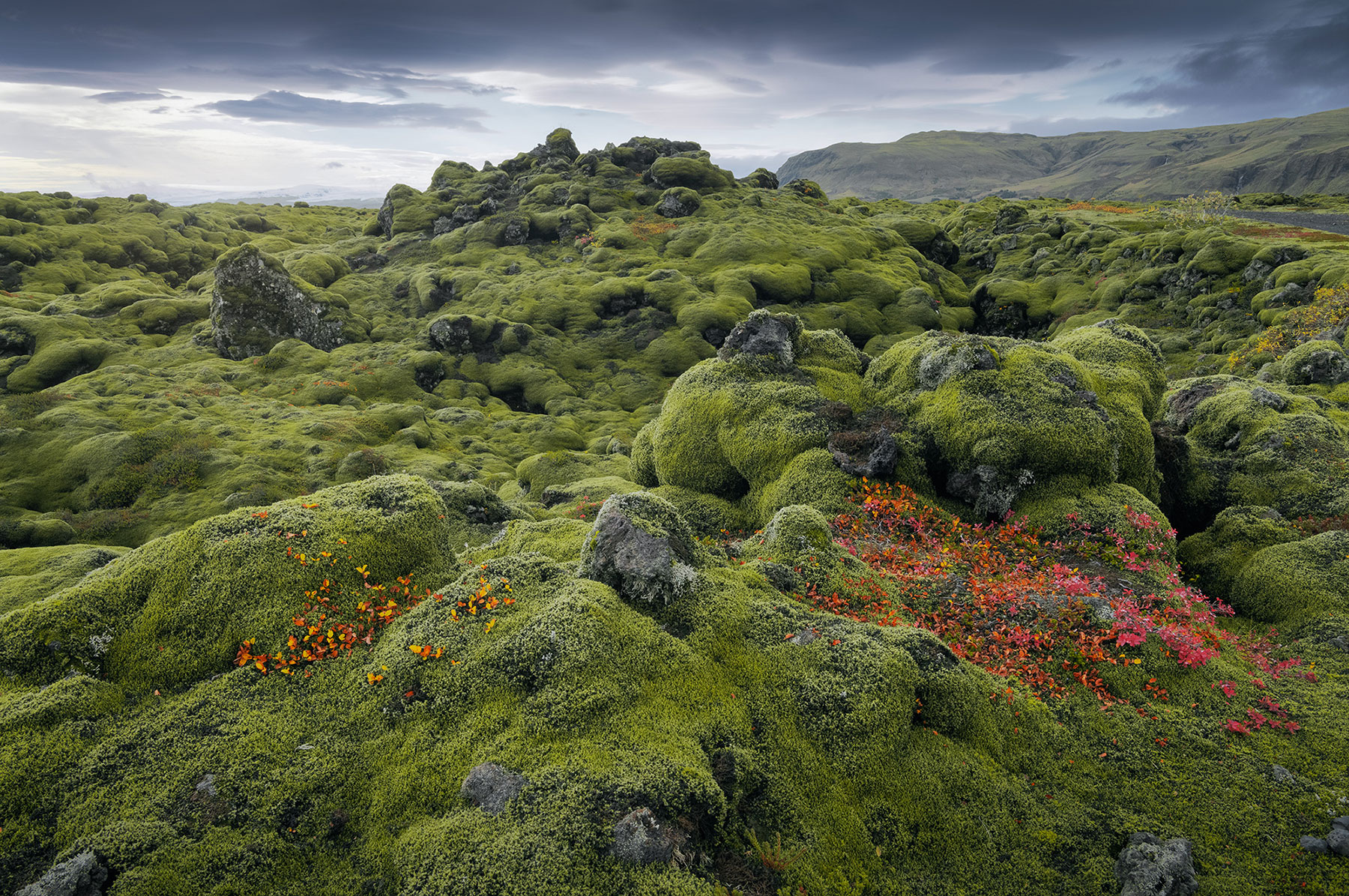 Immerse yourself in Iceland's surreal moss-covered lava fields with breathtaking landscape photography. Uncover the striking contrast of vibrant greenery against rugged volcanic landscapes.