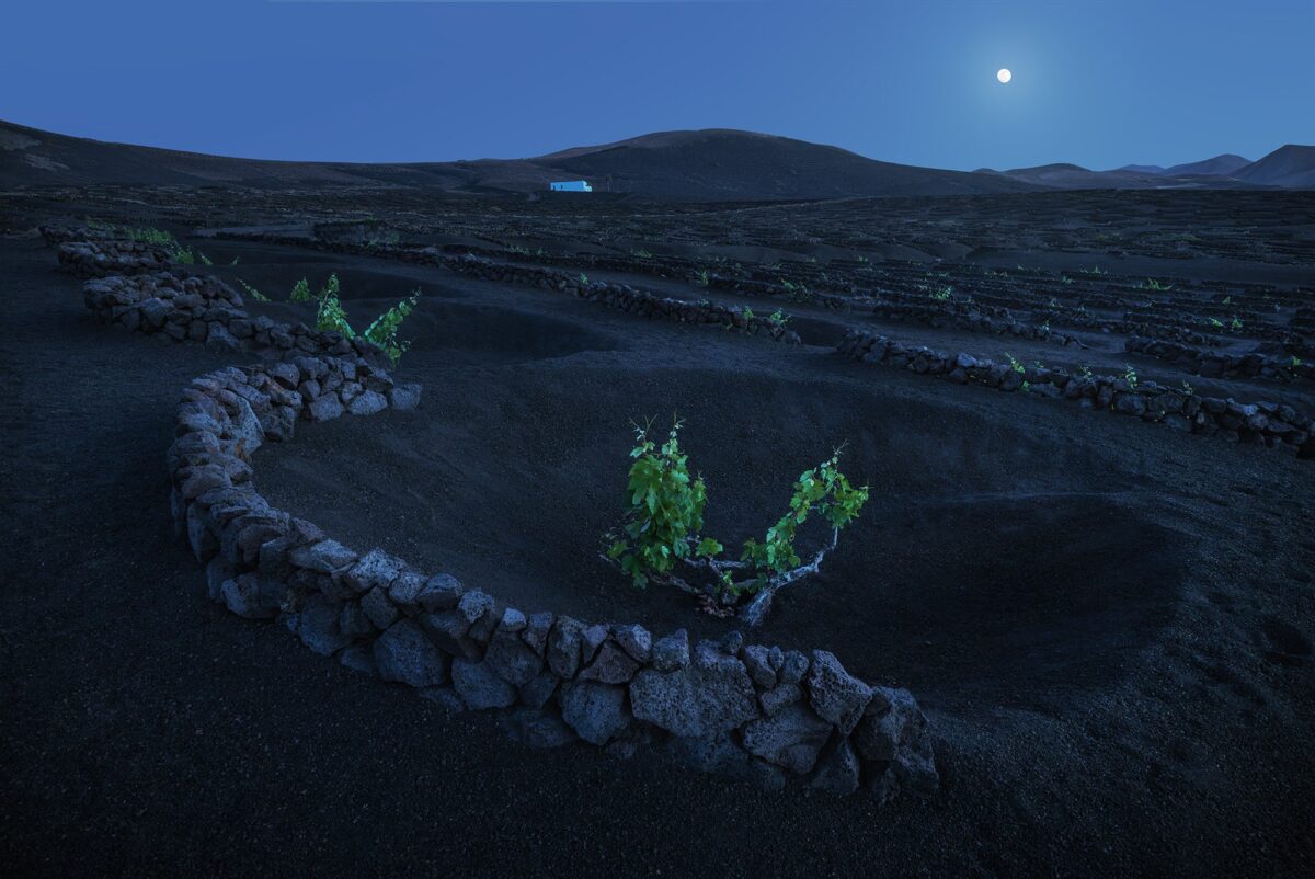 Landscape photography of the volcanic vineyards of La Geria in Lanzarote, Canary Islands, captured at blue hour under a full moon. The image features curved rows of vines surrounded by black volcanic soil, with distant volcanoes rising in the background. Soft, dusky light and moon glow create a surreal and serene atmosphere. Taken by Jennifer Esseiva with a Nikon Z8, this scene blends tradition, geology, and lunar magic.