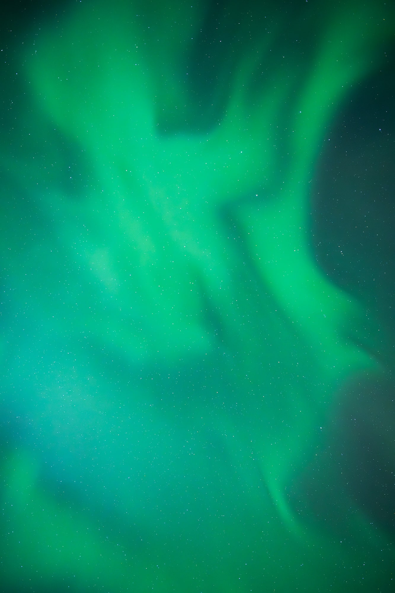 Abstract northern light photography in Levi, Finland — the aurora borealis lights up the night sky with vivid green hues, forming the shape of a bird above a field of stars. A poetic and minimalist capture focused entirely on the sky.