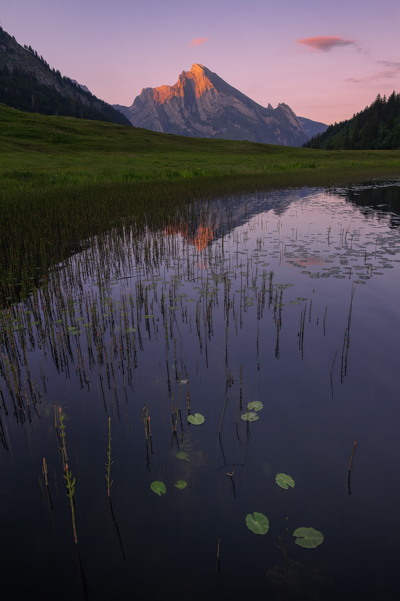 Vertical photo of the Gräppelensee lake at sunset, located in Toggenburg, Switzerland. The image shows the calm water reflecting the surrounding Swiss Alps under soft pink light.