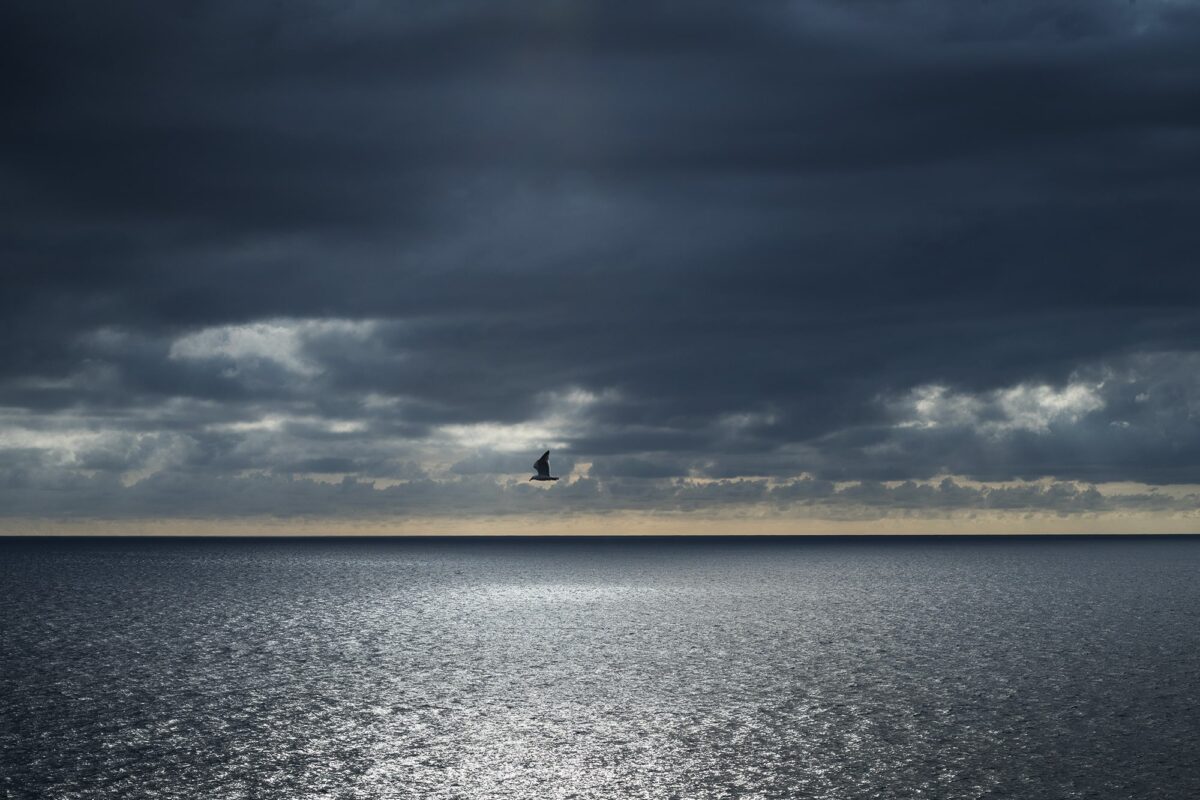 "Landscape photograph in Lanzarote, Canary Islands, capturing a dramatic seascape before sunset with warm golden light, waves crashing on volcanic rocks, and a seagull flying across the sky.