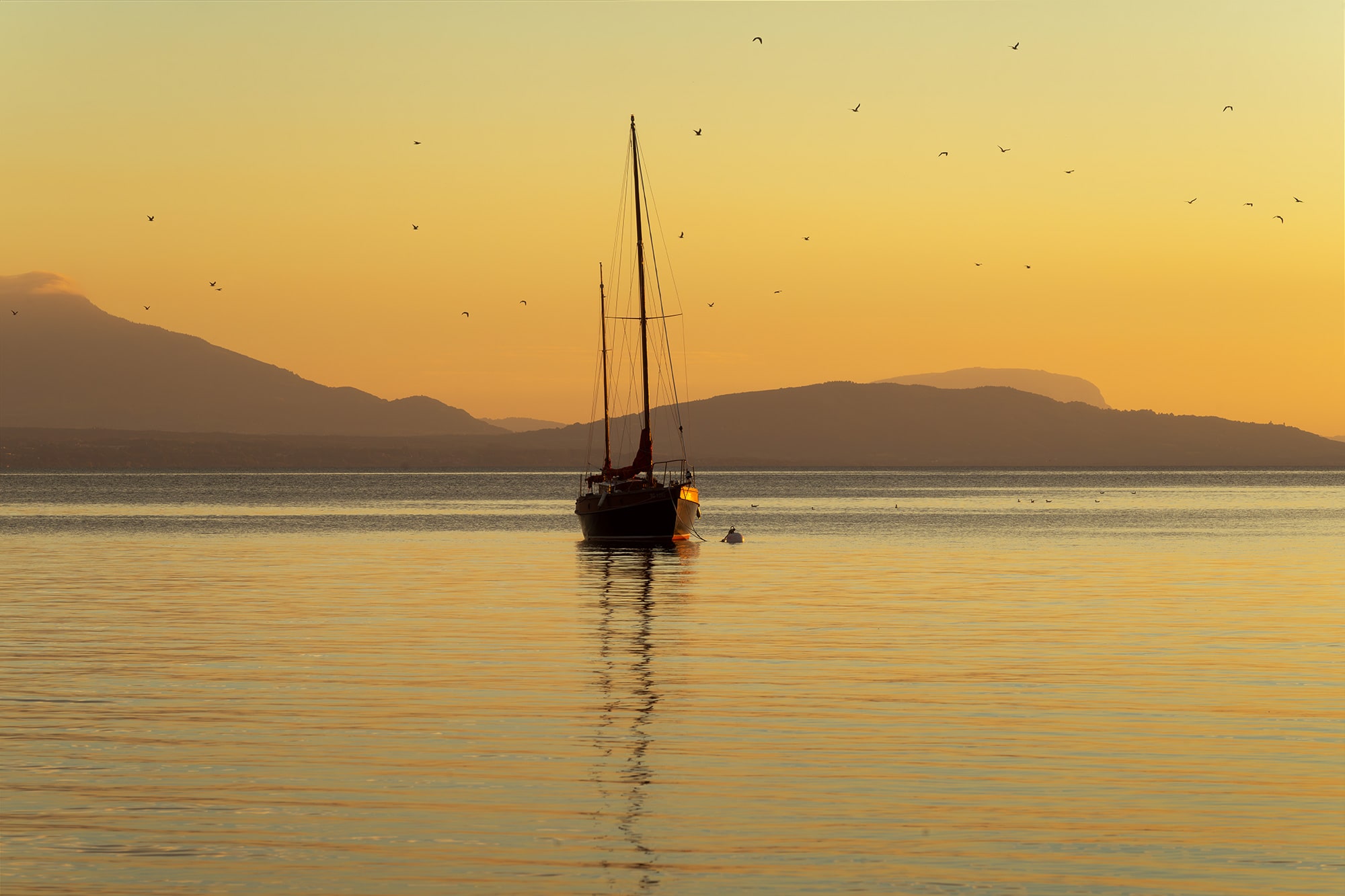 Landscape photography of a lonely boat on Lake Geneva at sunset in St-Sulpice near Lausanne, captured with a Nikon Z8. A migrating bird flies above the calm water, illuminated by warm evening light.