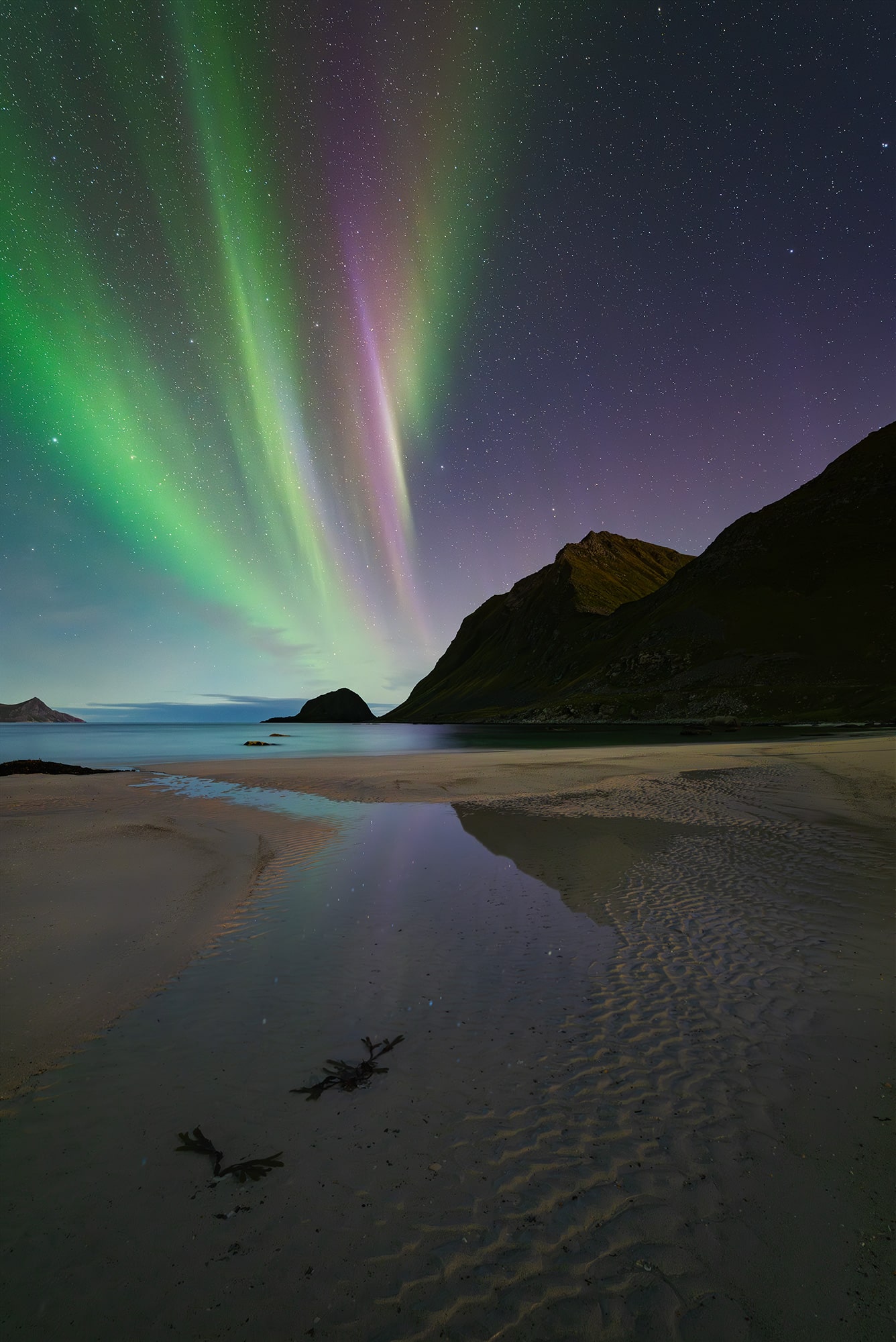 Landscape photography of Haukland Beach in the Lofoten Islands, Norway, captured at night under the northern lights. Green and purple aurora streaks reflect in the wet sand, with seaweed in the foreground and dark mountains framing the Arctic coastline.