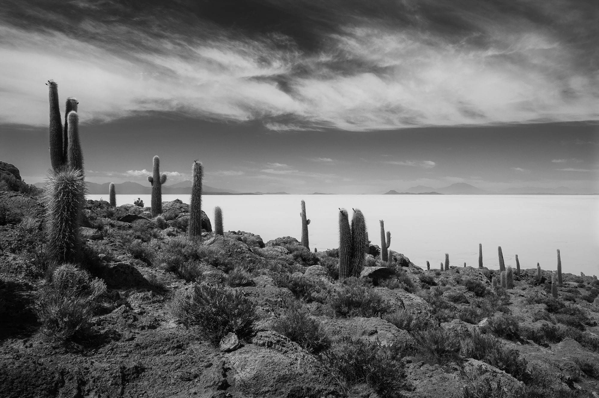 Black and white landscape photograph of Isla Incahuasi in the Salar de Uyuni, Bolivia, showing tall cactus silhouettes rising from a rocky island surrounded by the vast salt flats under a dramatic sky.