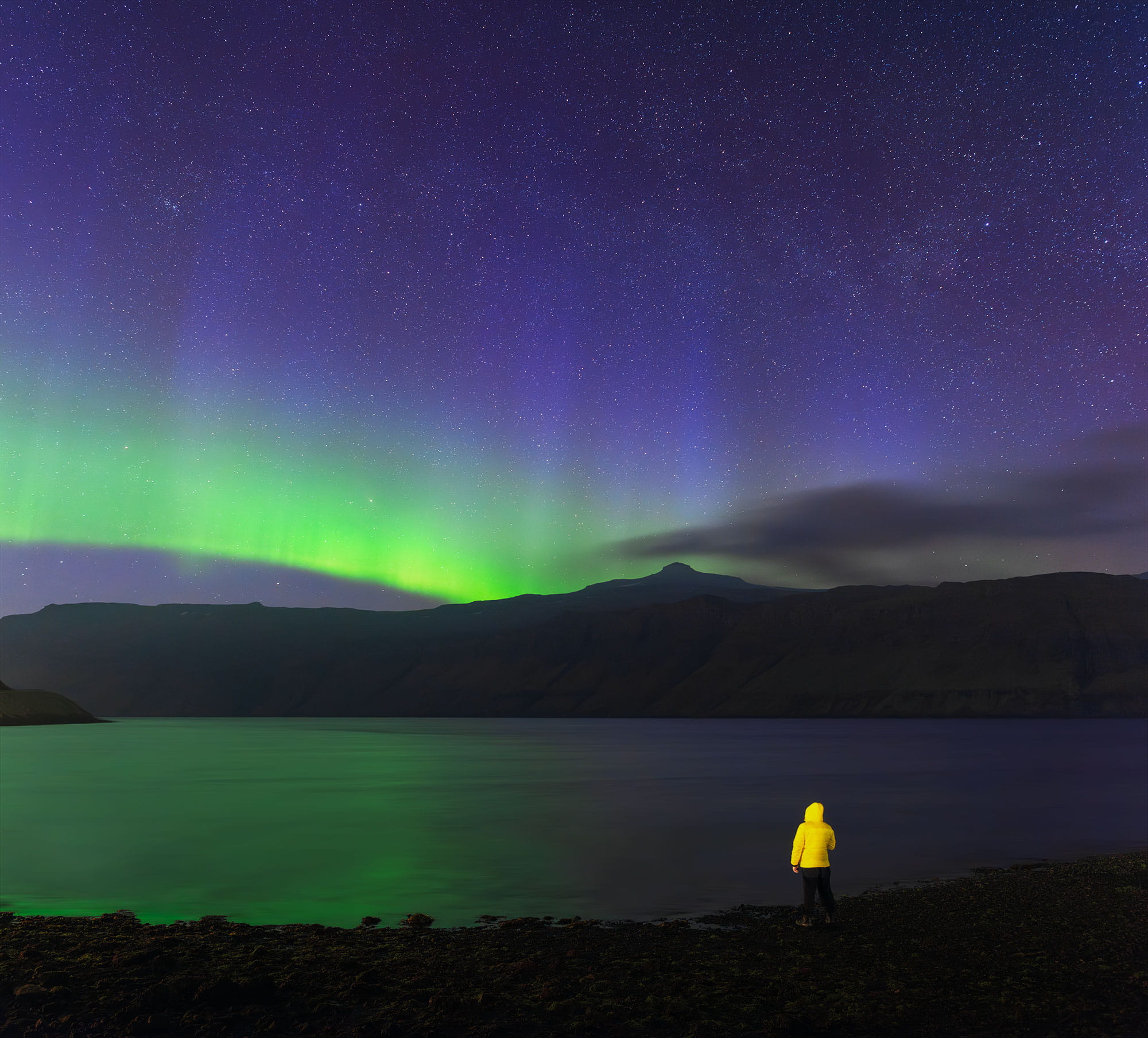 Landscape photography of purple and blue northern lights in the Faroe Islands, featuring a person wearing a yellow jacket beneath the aurora borealis in a rugged coastal setting.