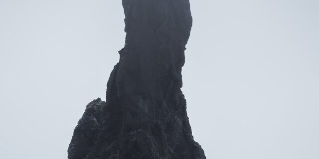 Photograph of a sea stack at Reynisfjara Beach in Iceland, with waves crashing below and a seagull standing still on top against a plain sky.