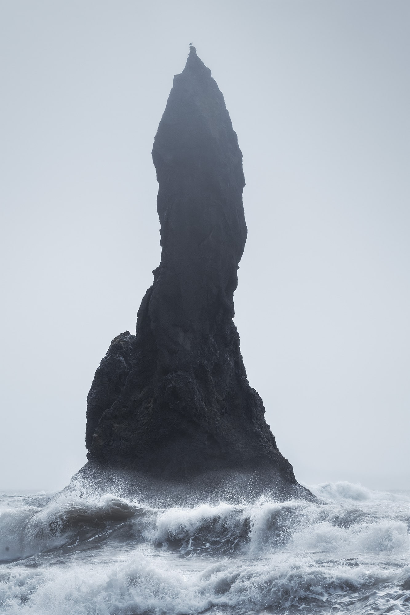 Photograph of a sea stack at Reynisfjara Beach in Iceland, with waves crashing below and a seagull standing still on top against a plain sky.