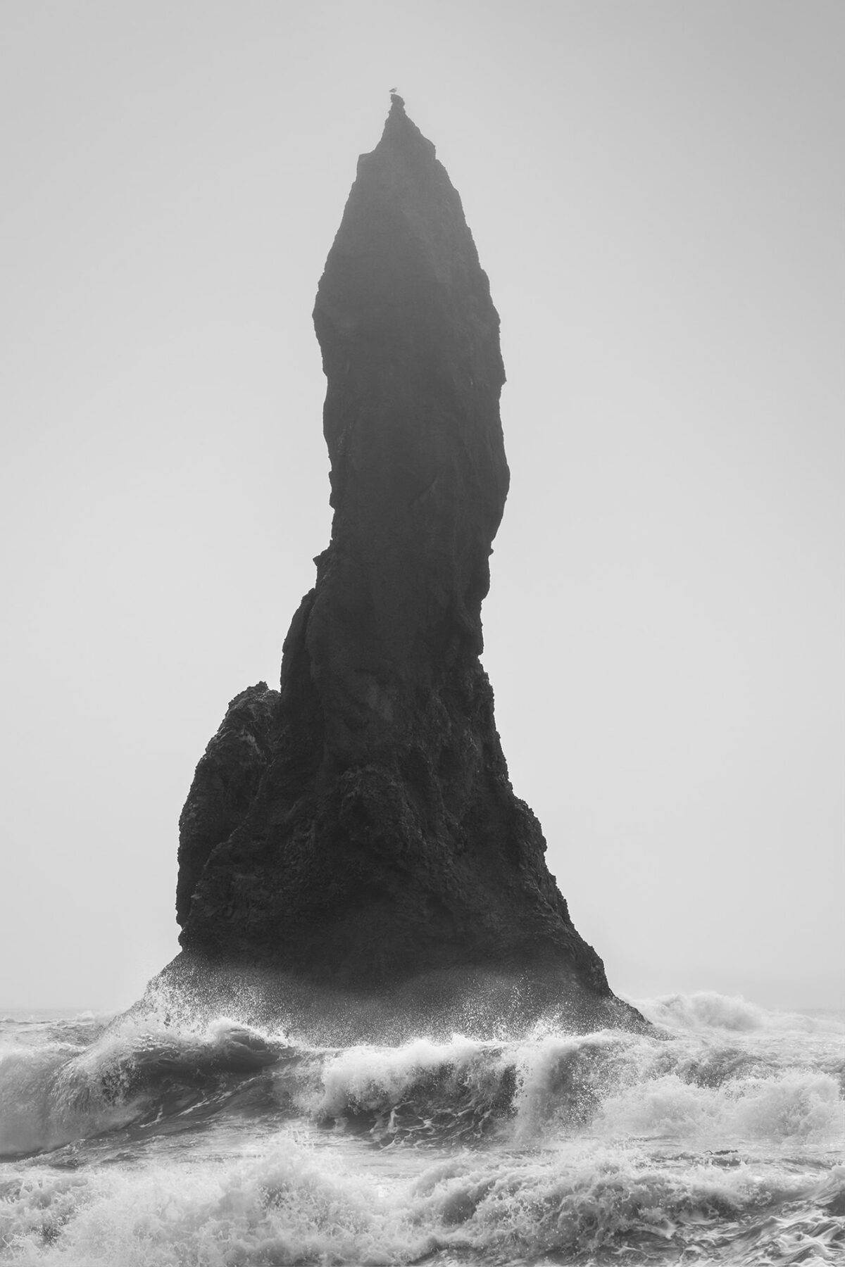Black and white photograph of a sea stack at Reynisfjara Beach in Iceland, with waves crashing below and a seagull standing still on top against a plain sky.