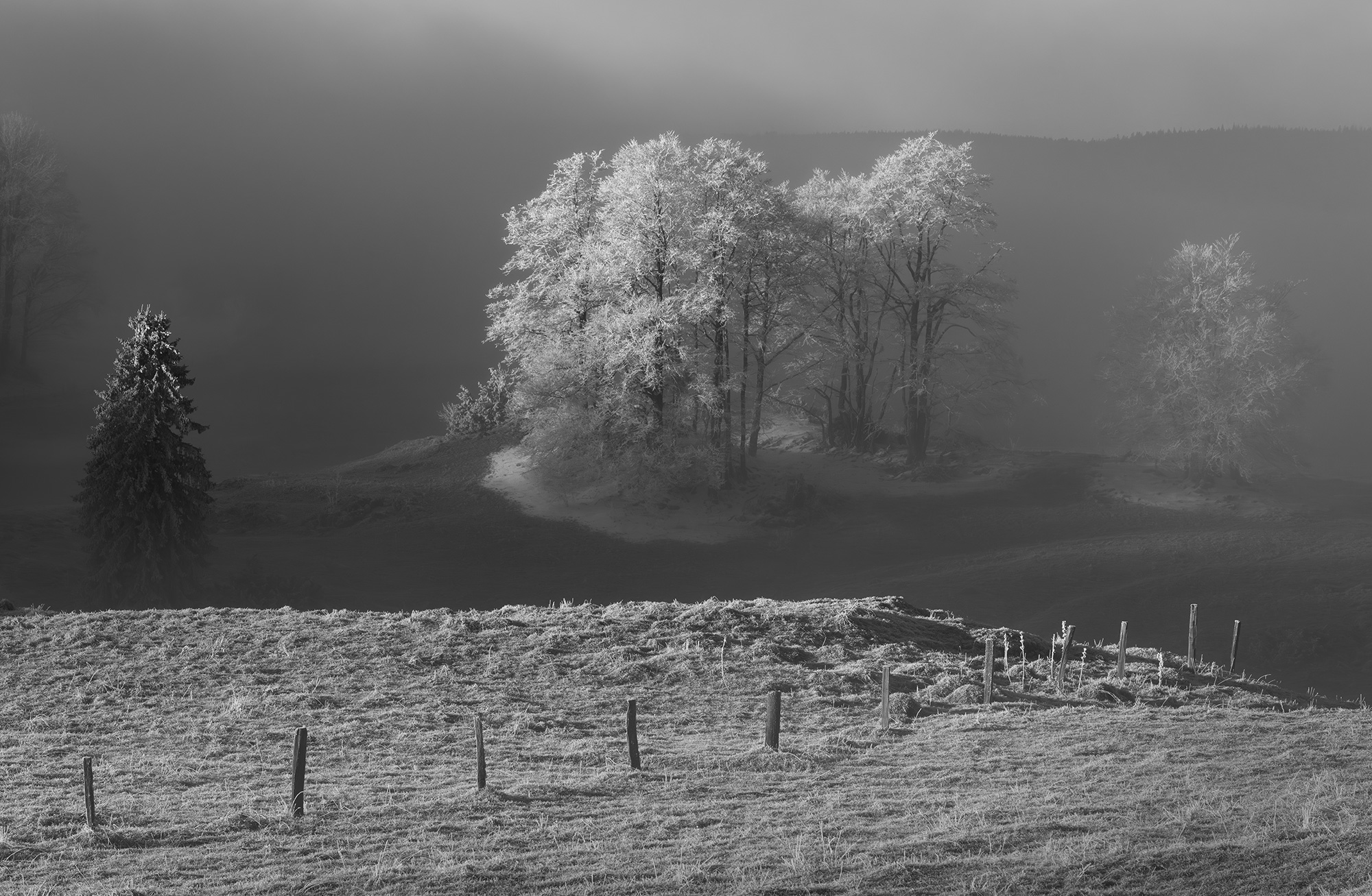 Black and white winter landscape photograph taken in the Vallée de Joux, Switzerland, showing frost-covered trees emerging from morning mist and a quiet rural foreground.