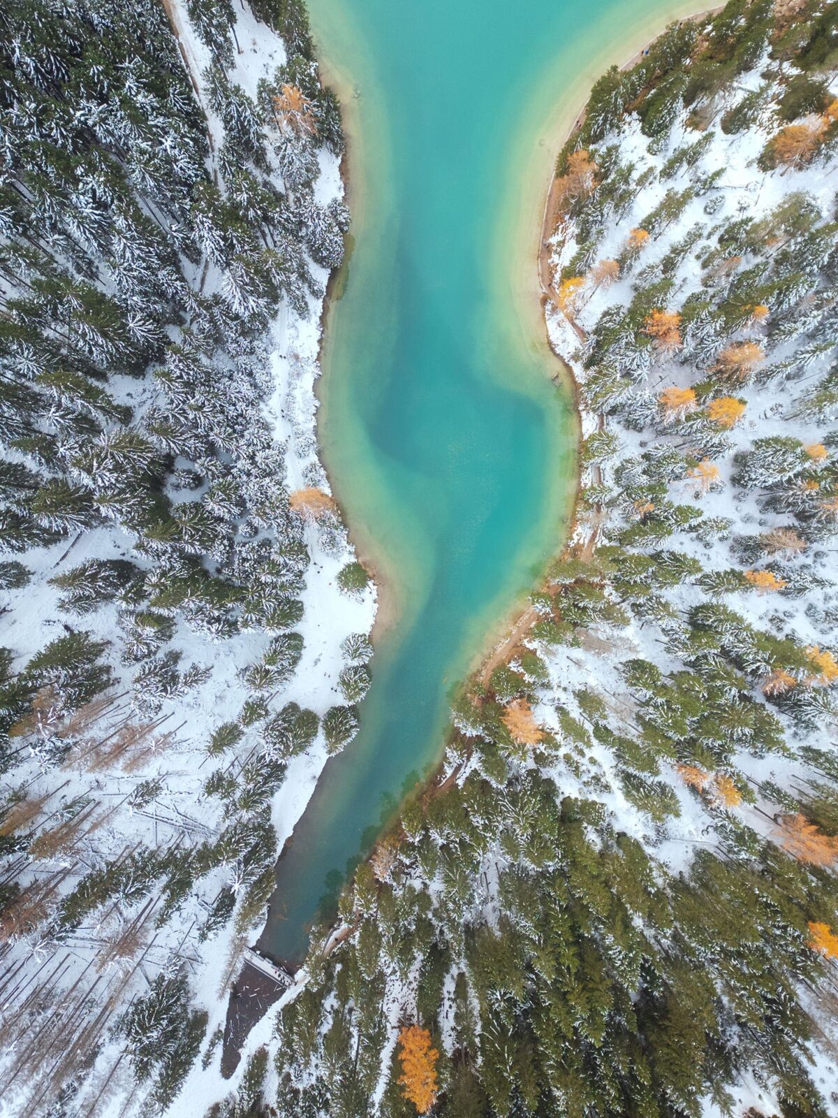 Aerial view of a river flowing into a turquoise lake in the Dolomites, Italy, surrounded by a snowy forest in winter