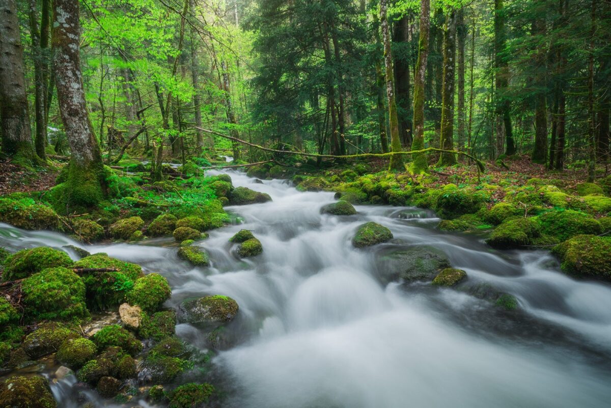 Long exposure photography of a forest river in the Jura Vaudois, Switzerland, with mossy rocks and flowing water.