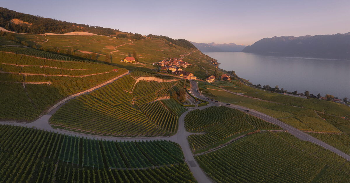 Panoramic view of Lavaux vineyards and Epesses village in Canton of Vaud, Switzerland, overlooking Lake Geneva at sunset