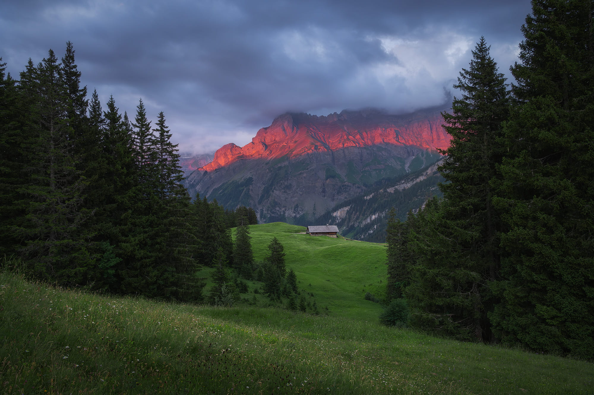 Sunset over Les Diablerets in the Swiss Alps, Switzerland, with glowing alpine peaks, dramatic storm clouds, lush green meadows and a traditional mountain chalet framed by pine trees.