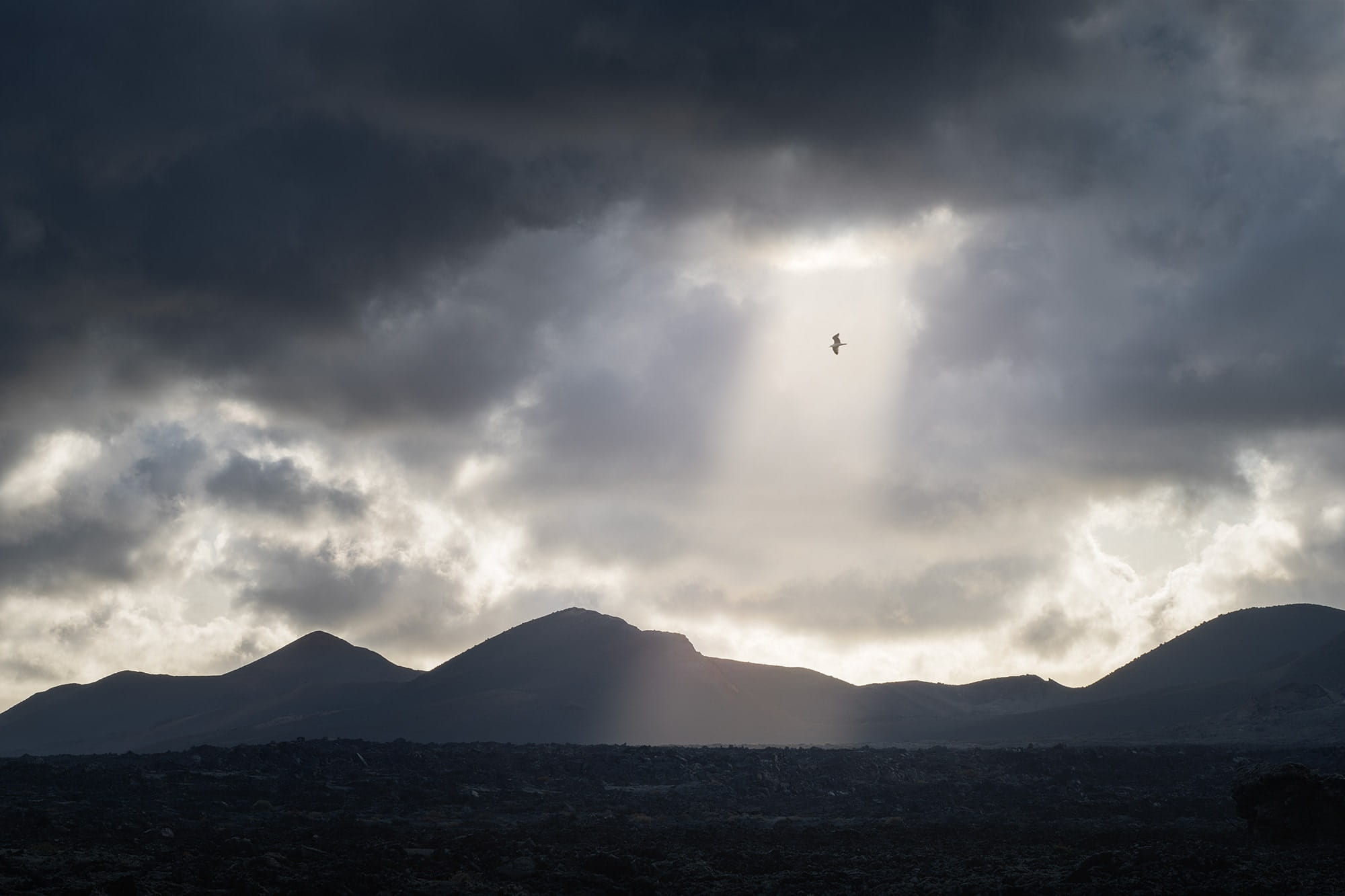 Dramatic sun rays breaking through storm clouds above the volcanic mountains of Timanfaya National Park in Lanzarote, Canary Islands, with a bird flying over the dark lava landscape.